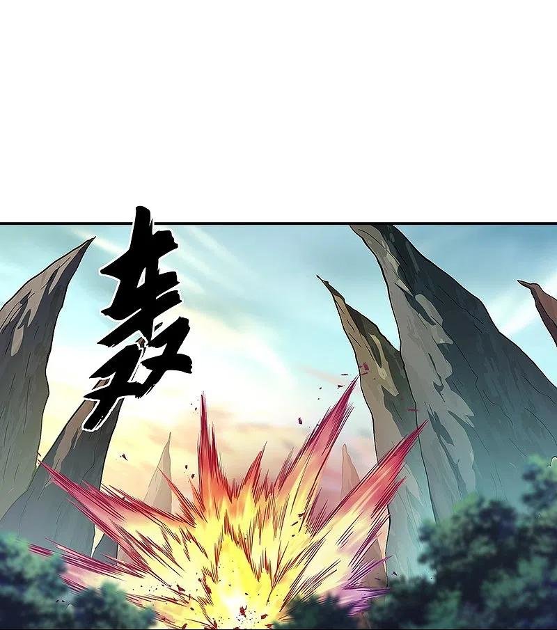 Peerless Battle Spirit Capitulo 319 página 27