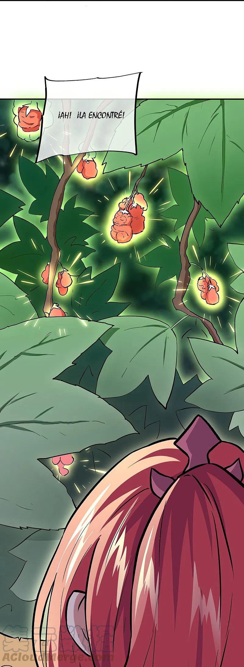 Peerless Battle Spirit Capitulo 319 página 47