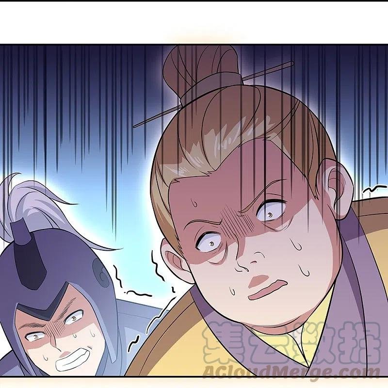 Peerless Battle Spirit Capitulo 321 página 41