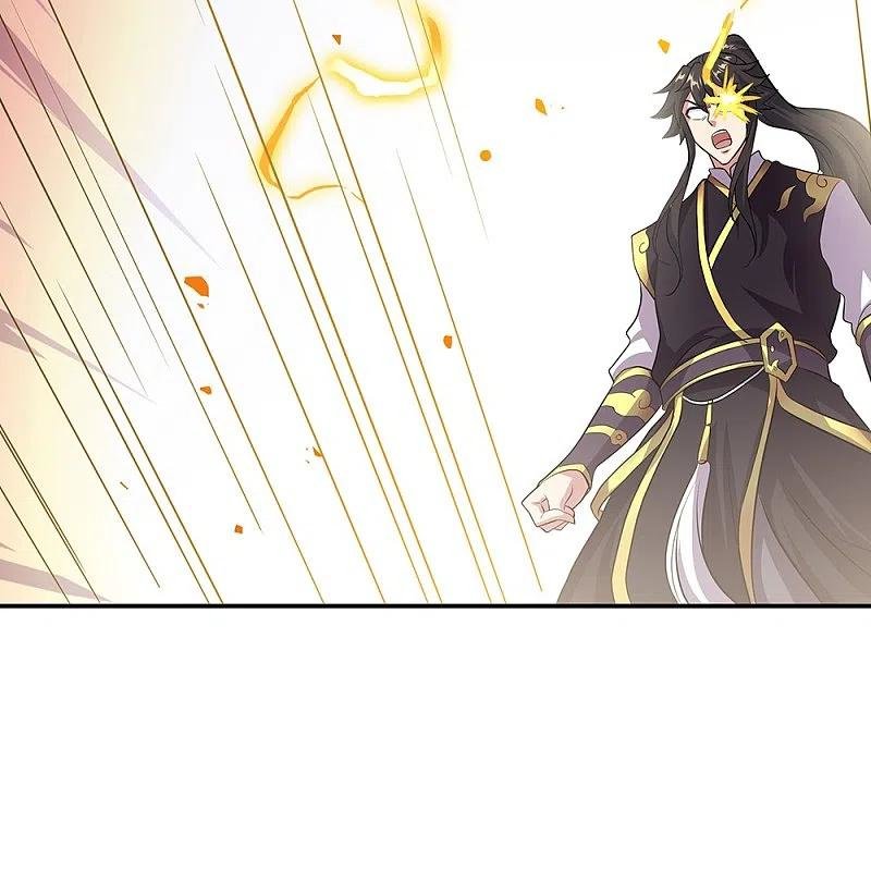 Peerless Battle Spirit Capitulo 322 página 25