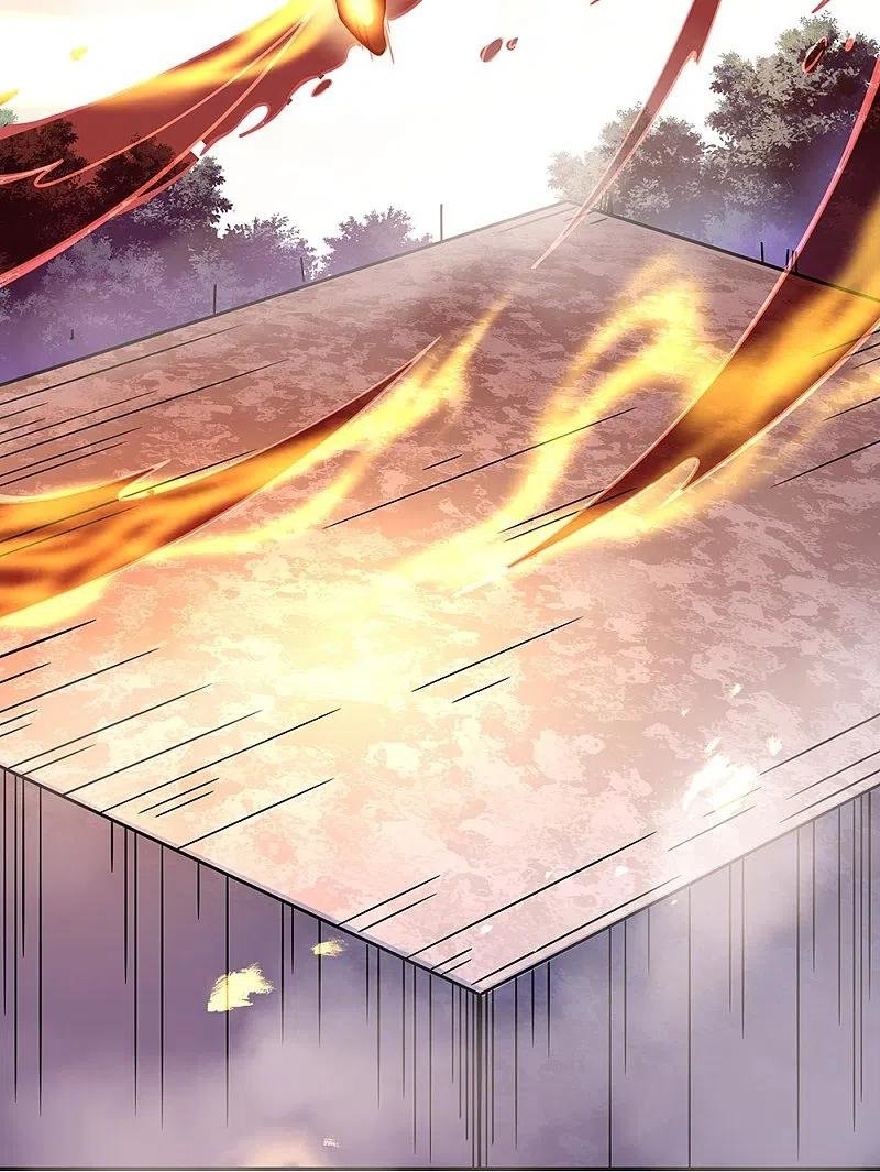 Peerless Battle Spirit Capitulo 323 página 37
