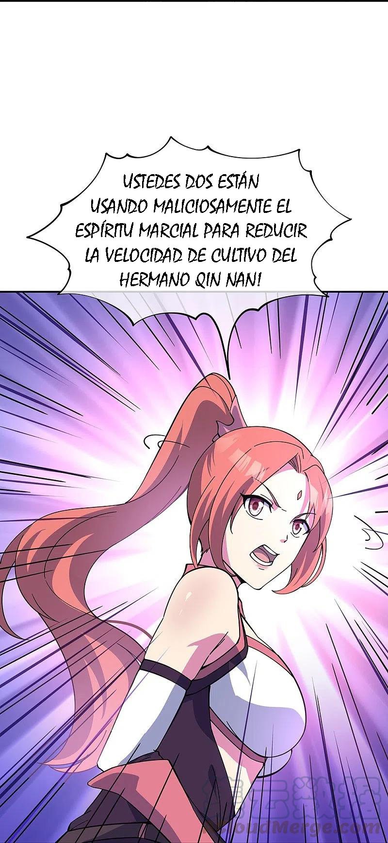 Peerless Battle Spirit Capitulo 323 página 41