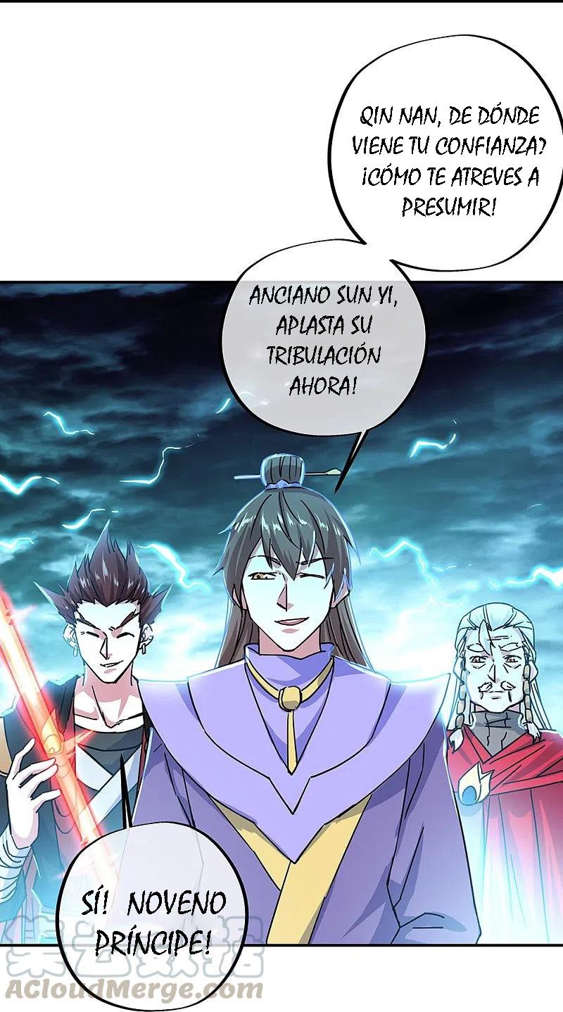 Peerless Battle Spirit Capitulo 325 página 17