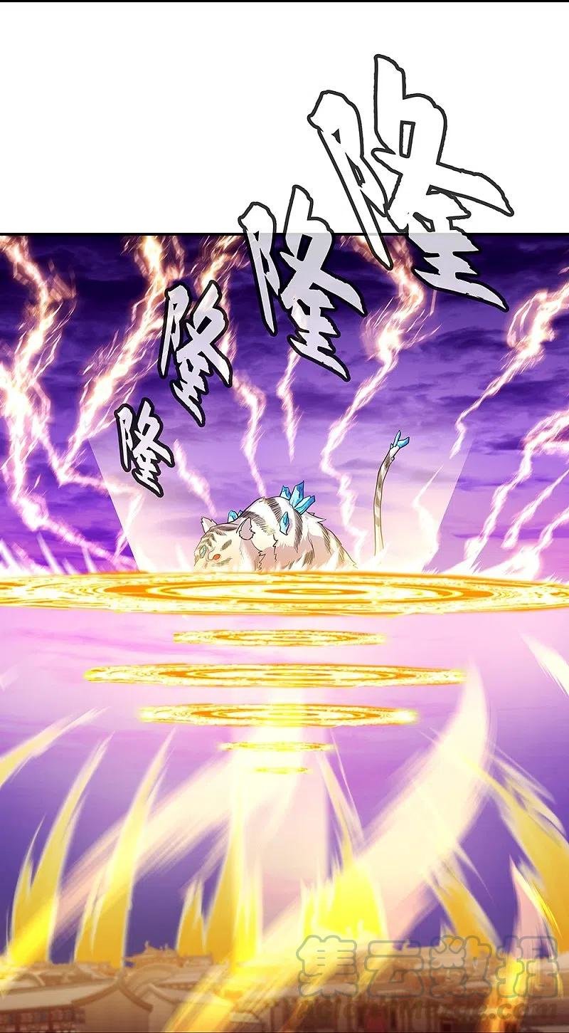 Peerless Battle Spirit Capitulo 325 página 29