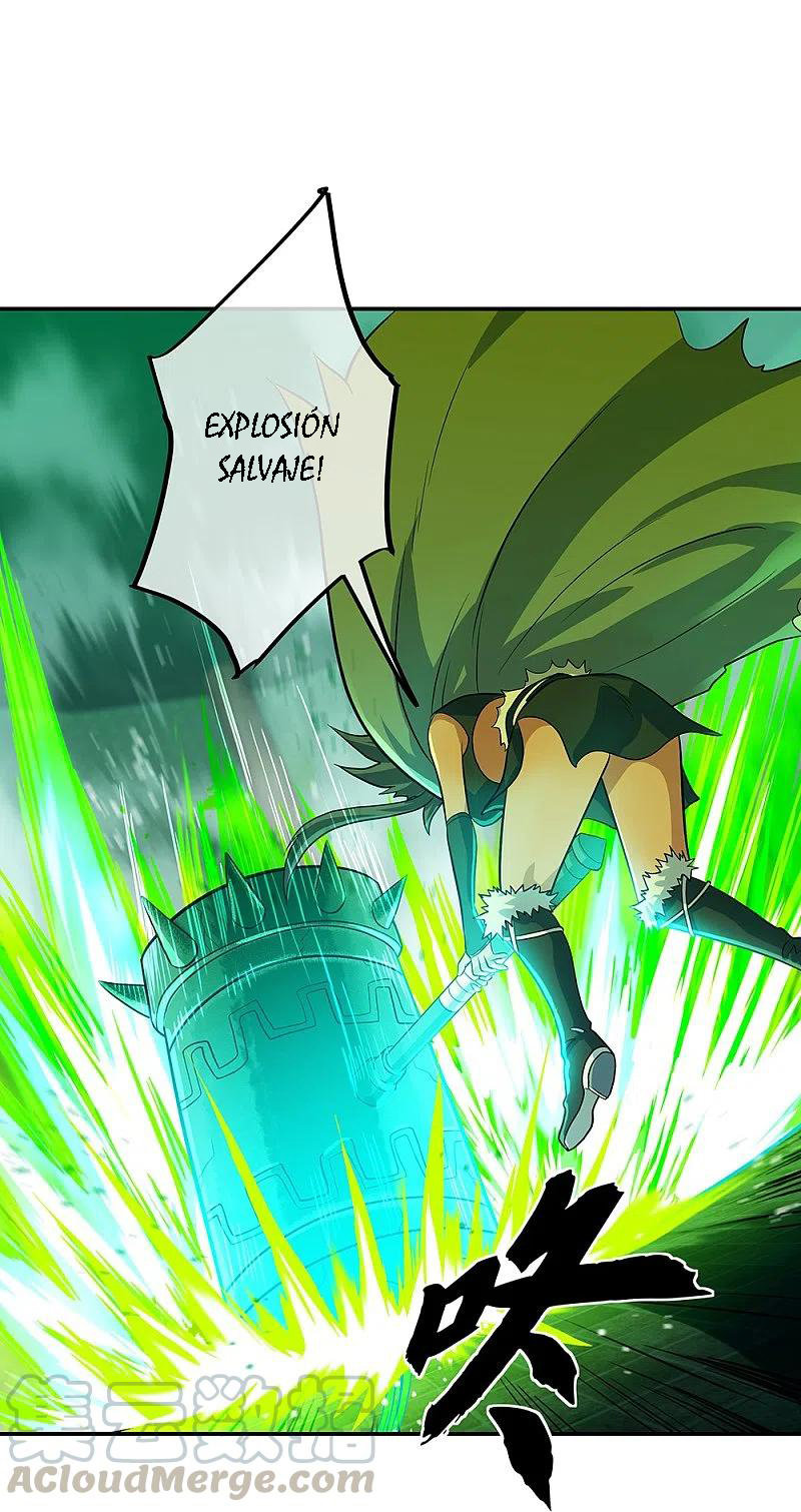 Peerless Battle Spirit Capitulo 329 página 17