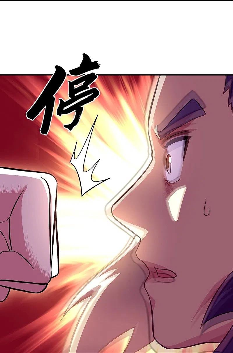 Peerless Battle Spirit Capitulo 330 página 30