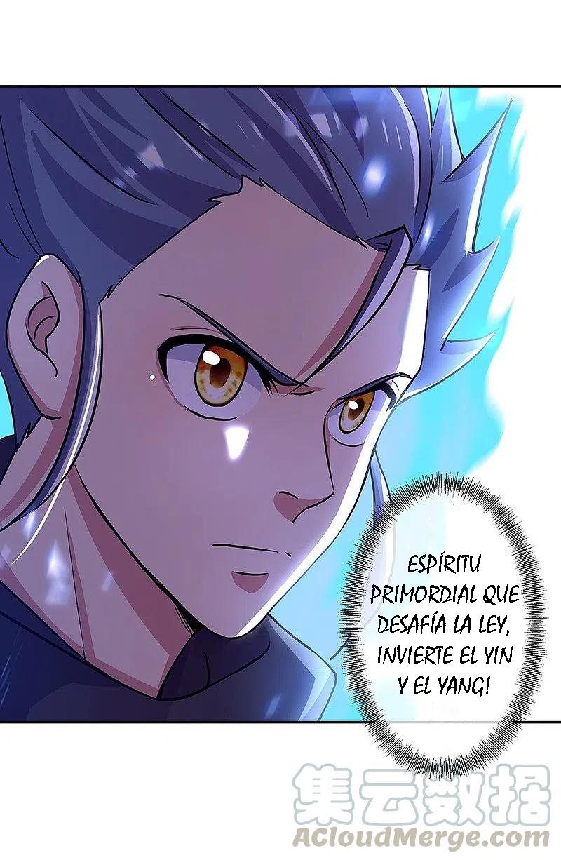 Peerless Battle Spirit Capitulo 330 página 47