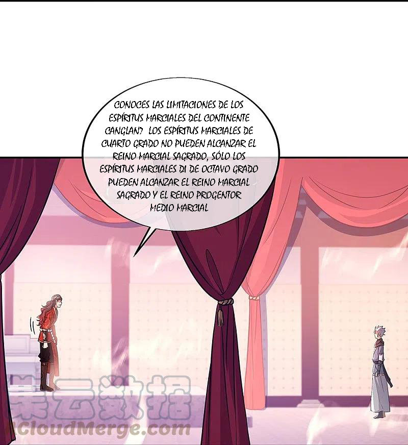 Peerless Battle Spirit Capitulo 331 página 14