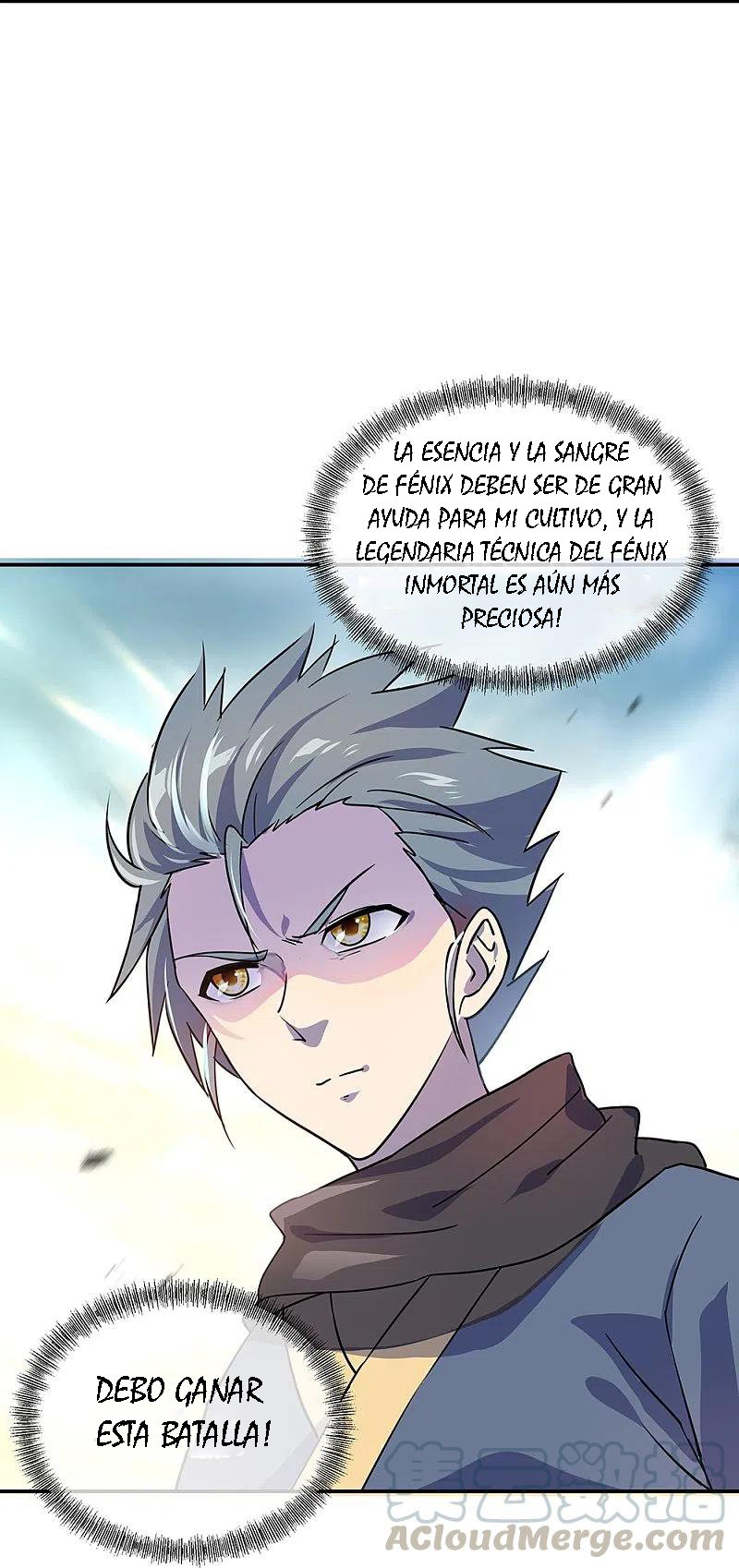 Peerless Battle Spirit Capitulo 332 página 23
