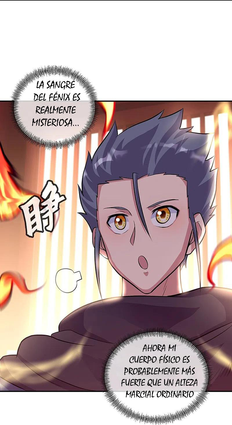 Peerless Battle Spirit Capitulo 334 página 4