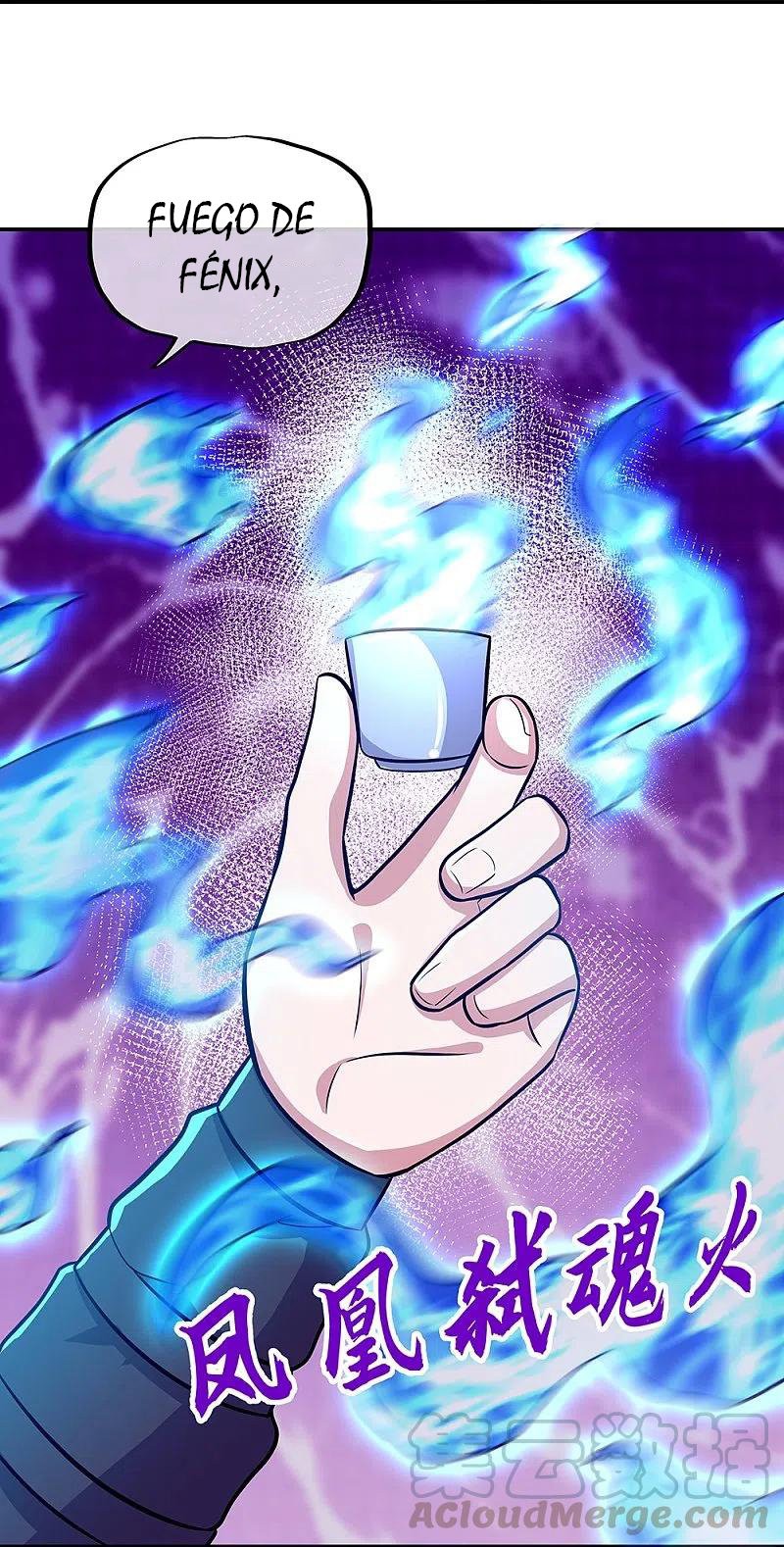 Peerless Battle Spirit Capitulo 336 página 34
