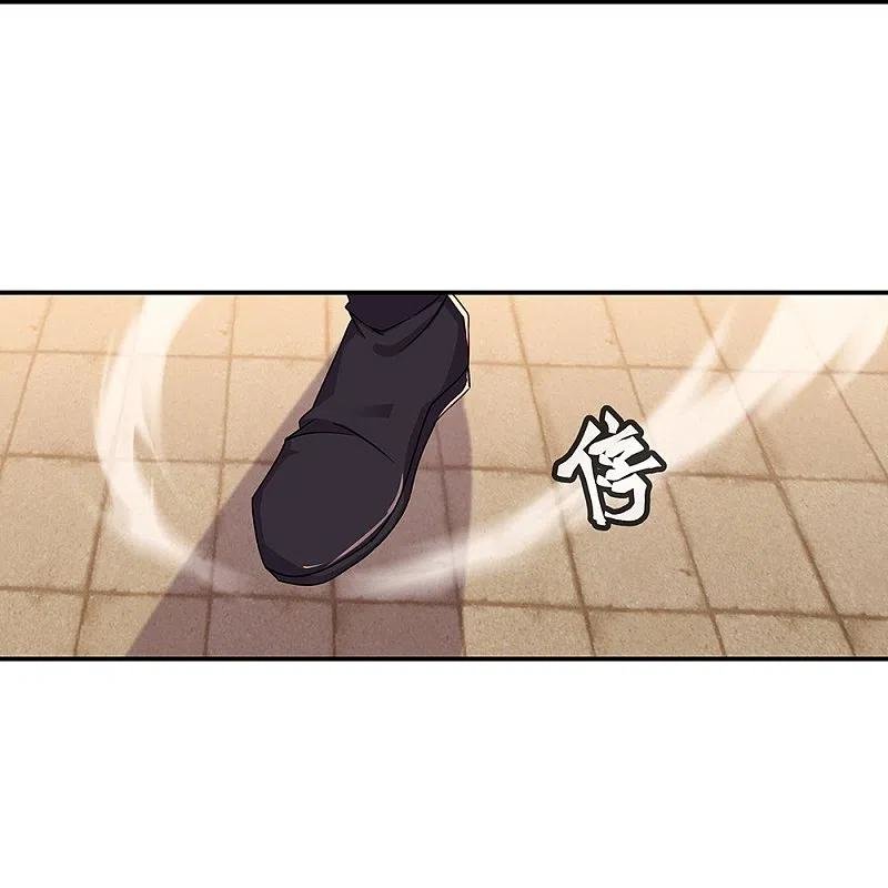 Peerless Battle Spirit Capitulo 338 página 33