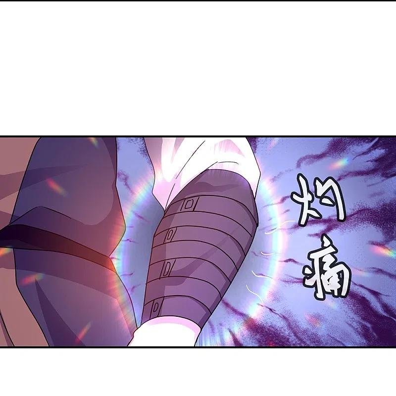 Peerless Battle Spirit Capitulo 338 página 6