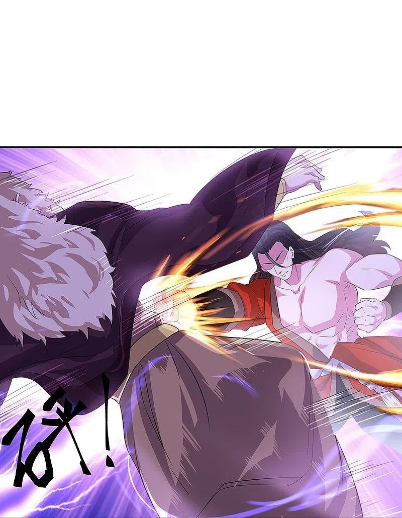 Peerless Battle Spirit Capitulo 339 página 23