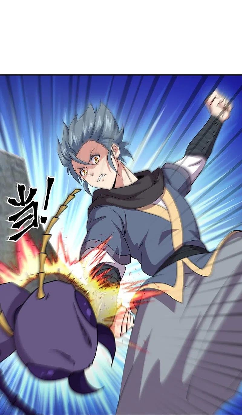 Peerless Battle Spirit Capitulo 341 página 48