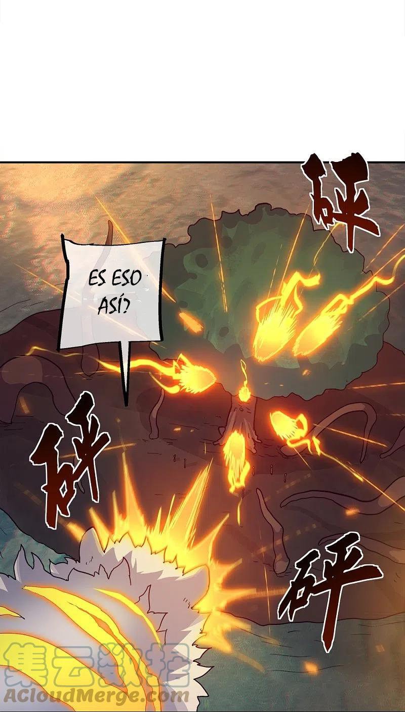 Peerless Battle Spirit Capitulo 342 página 34