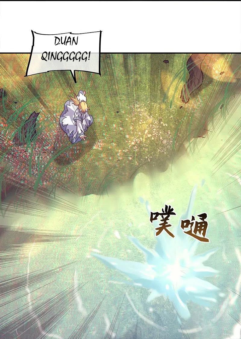 Peerless Battle Spirit Capitulo 342 página 41