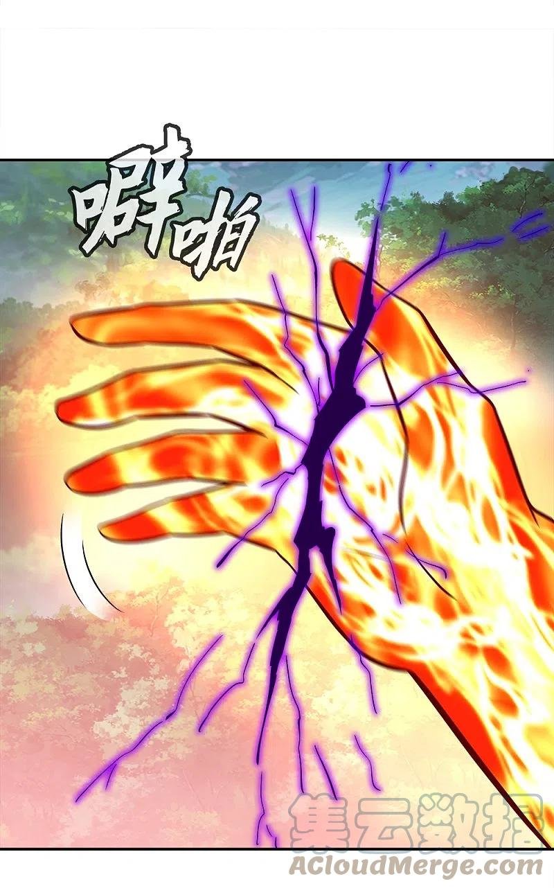 Peerless Battle Spirit Capitulo 343 página 49