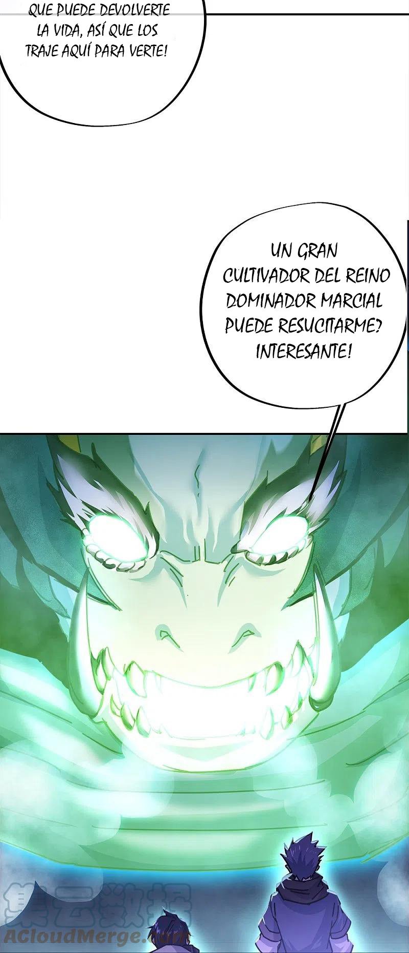 Peerless Battle Spirit Capitulo 344 página 40