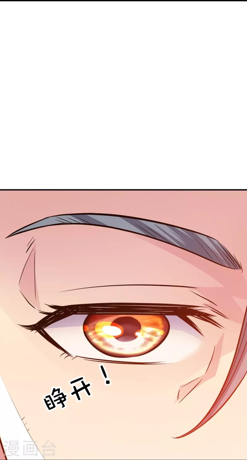 Peerless Battle Spirit Capitulo 347 página 13