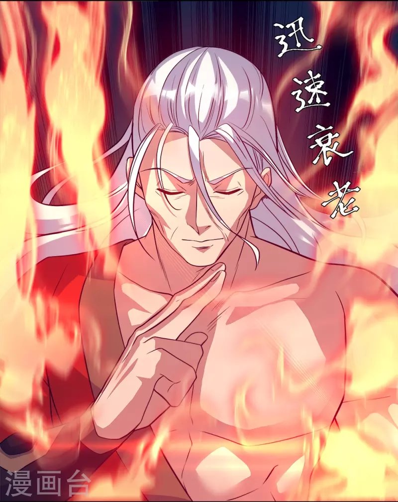 Peerless Battle Spirit Capitulo 349 página 5
