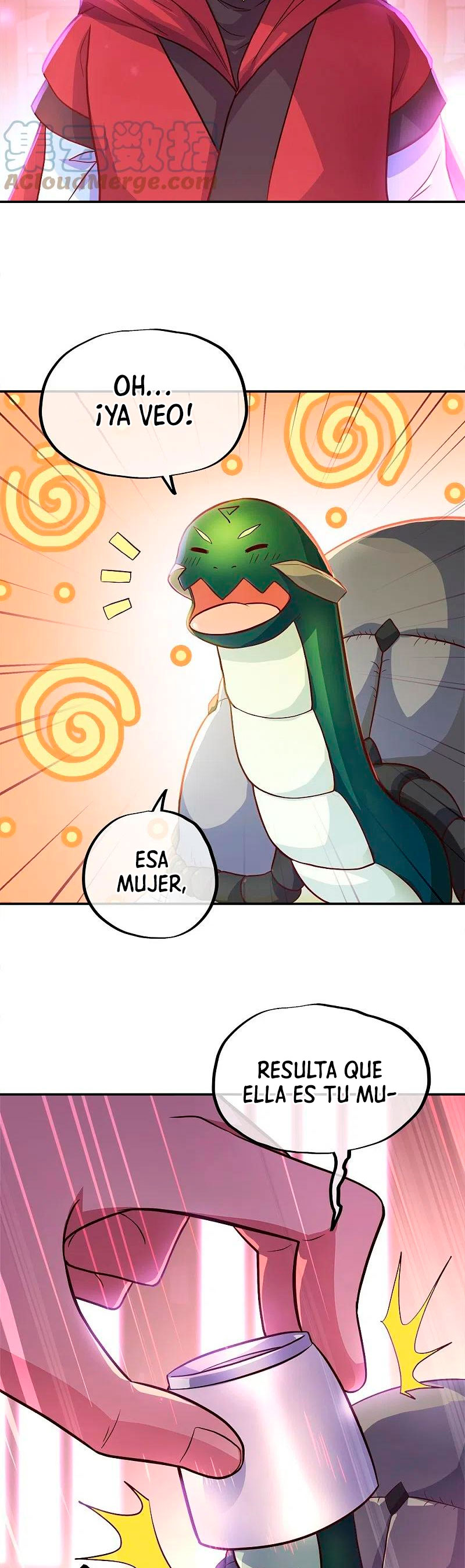 Peerless Battle Spirit Capitulo 352 página 15