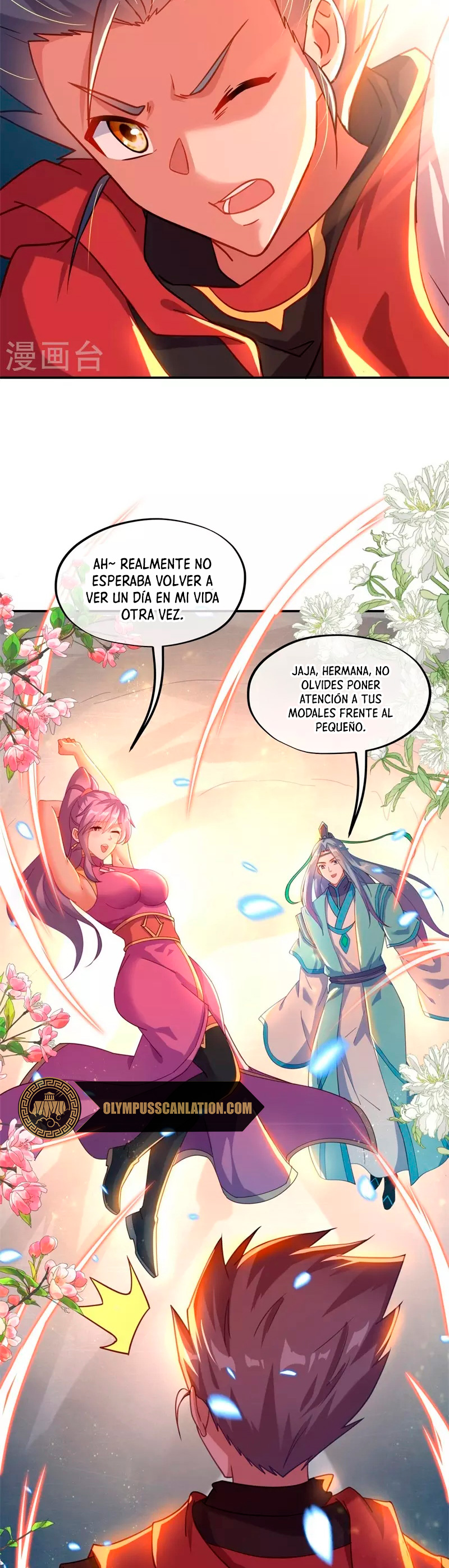 Peerless Battle Spirit Capitulo 363 página 4