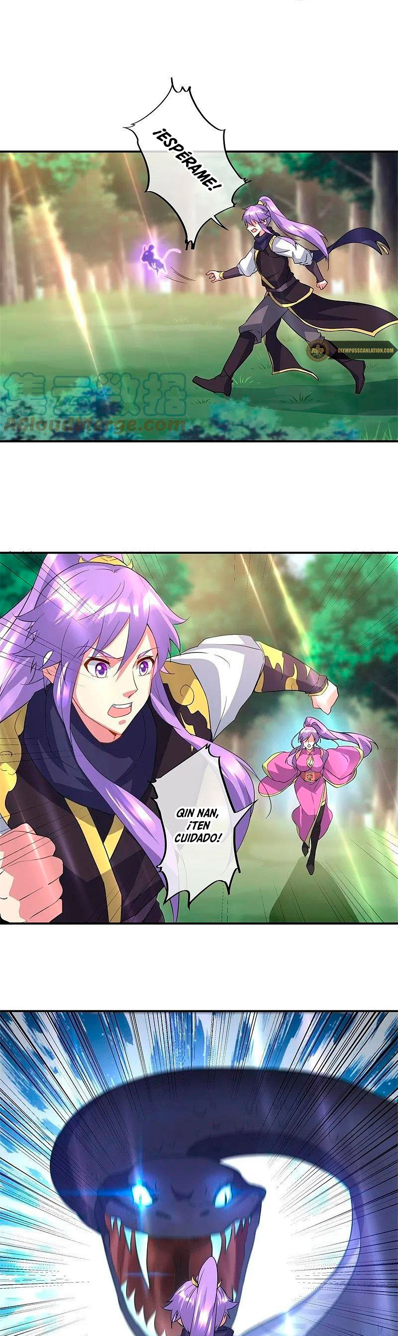Peerless Battle Spirit Capitulo 376 página 17