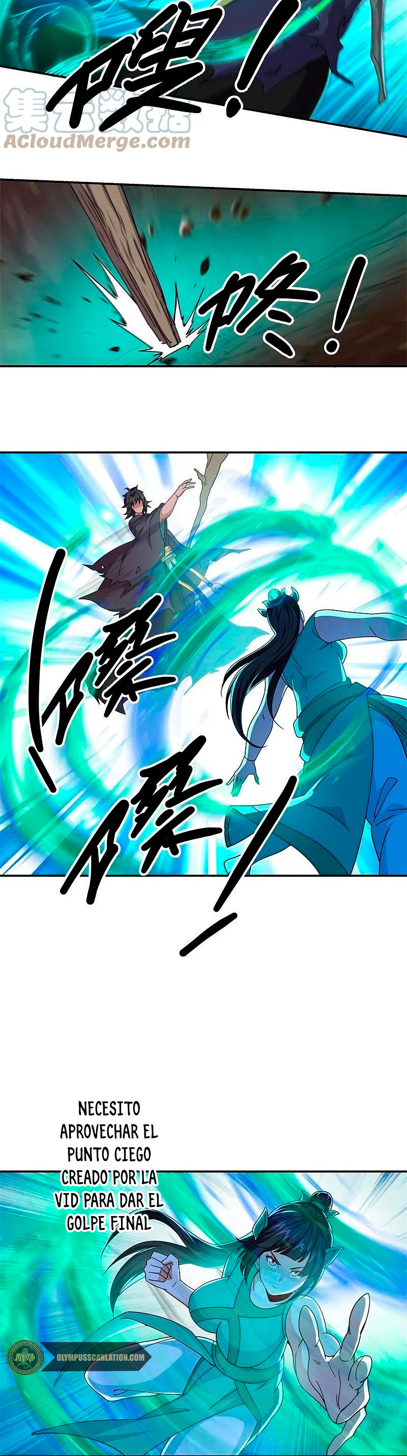 Peerless Battle Spirit Capitulo 377 página 26