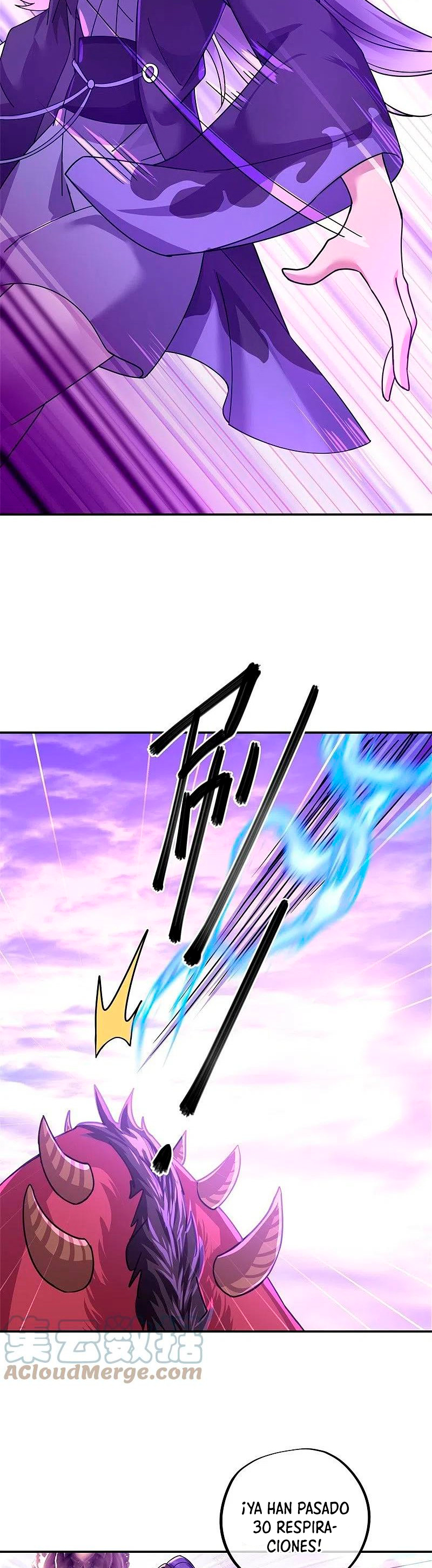 Peerless Battle Spirit Capitulo 388 página 25
