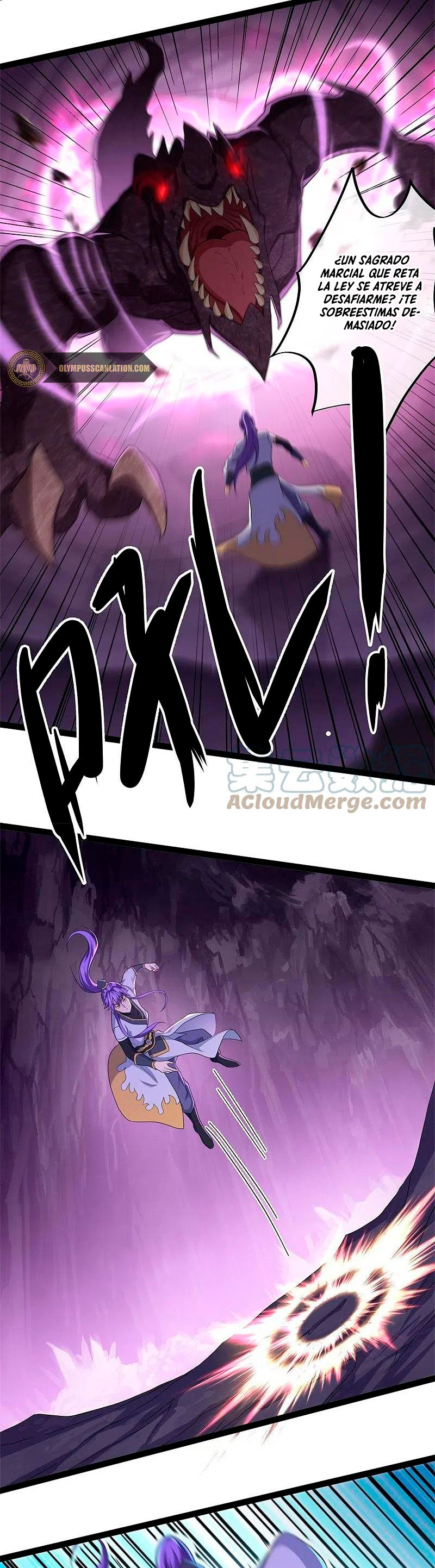 Peerless Battle Spirit Capitulo 391 página 15