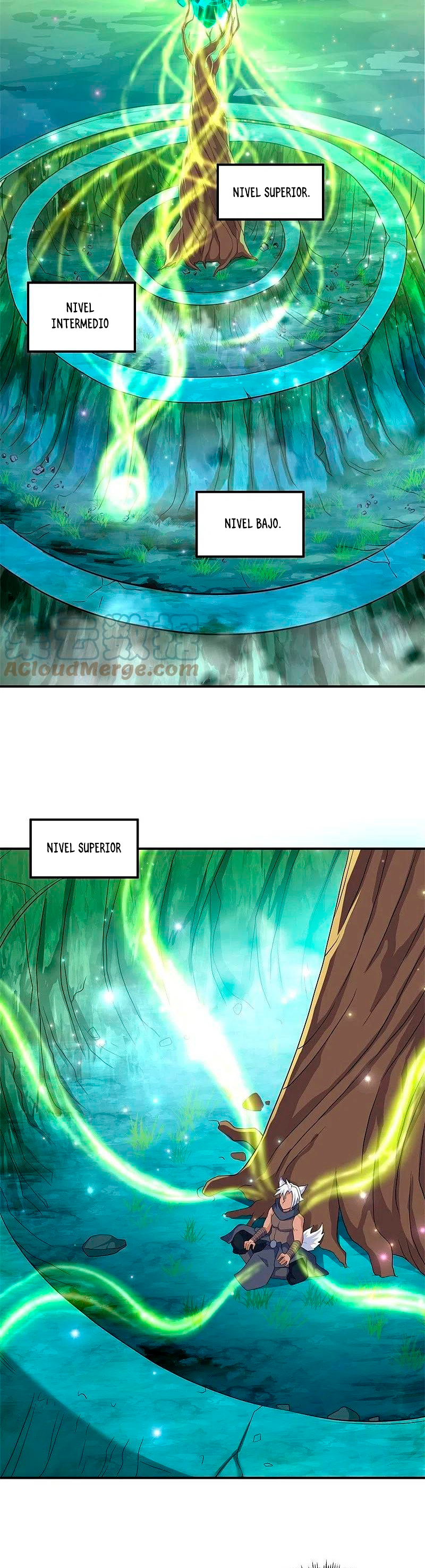 Peerless Battle Spirit Capitulo 397 página 5