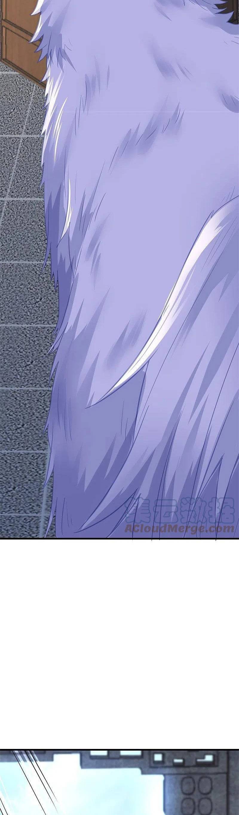 Peerless Battle Spirit Capitulo 416 página 41