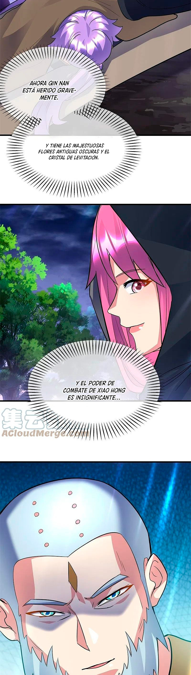 Peerless Battle Spirit Capitulo 426 página 26
