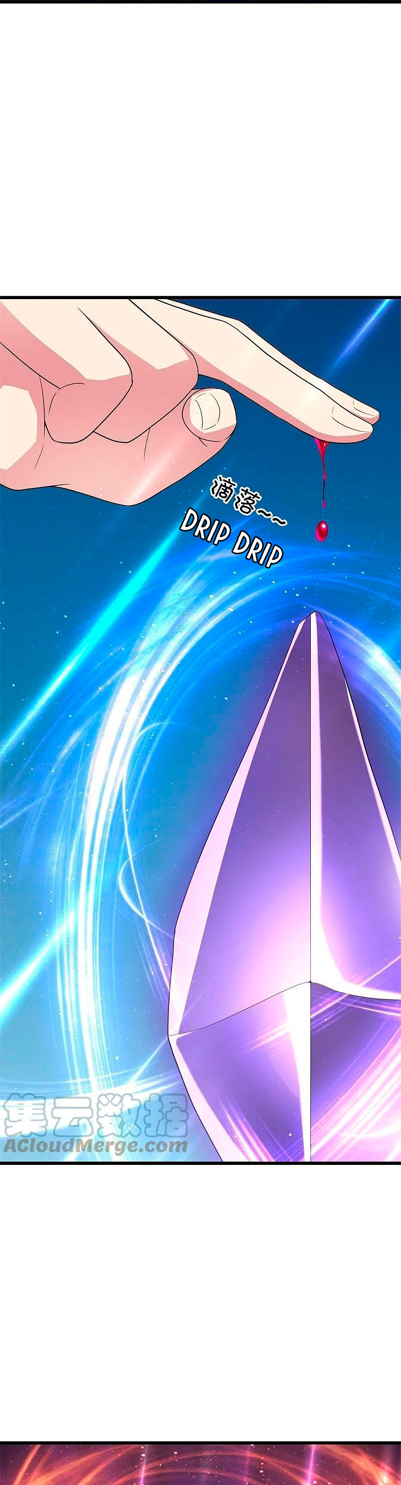 Peerless Battle Spirit Capitulo 426 página 38