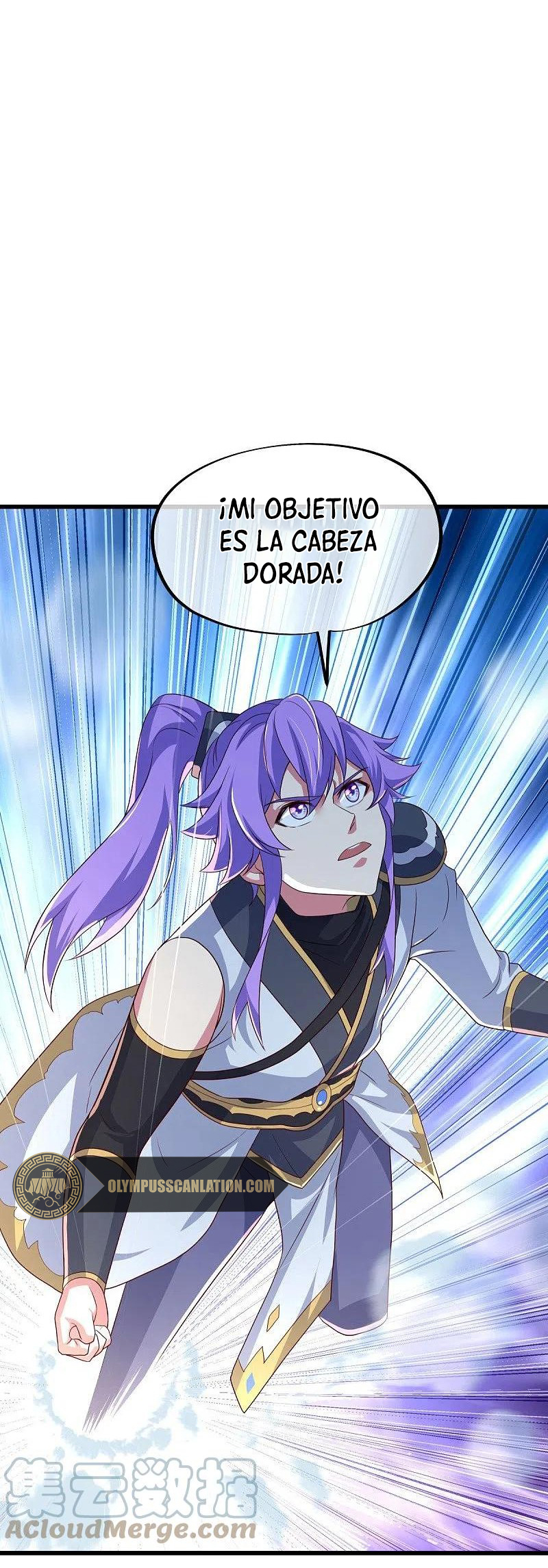 Peerless Battle Spirit Capitulo 439 página 12