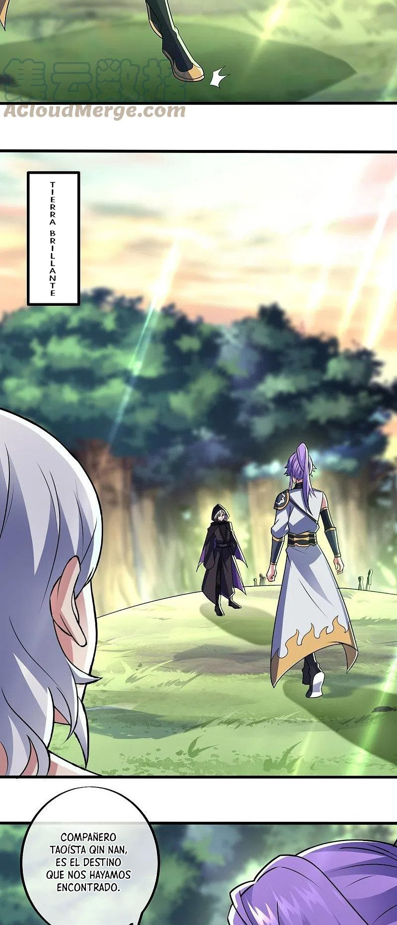 Peerless Battle Spirit Capitulo 439 página 42