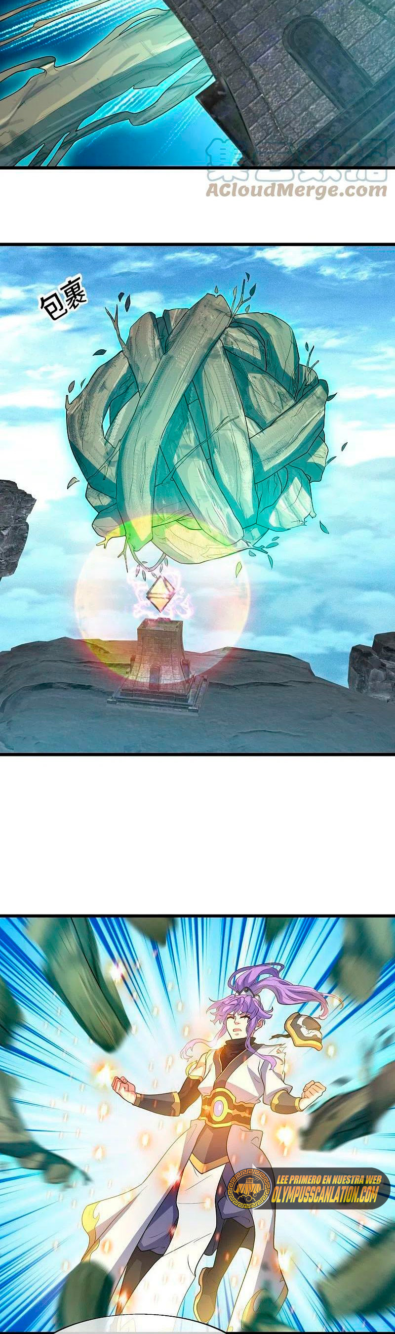 Peerless Battle Spirit Capitulo 454 página 28