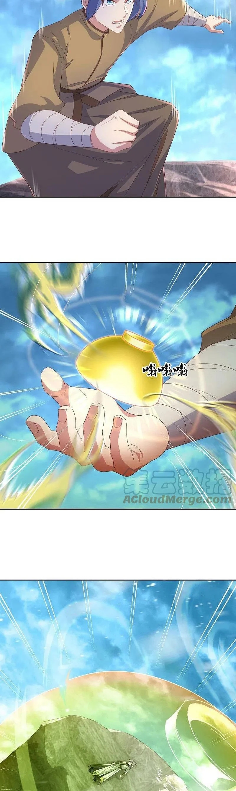 Peerless Battle Spirit Capitulo 455 página 9