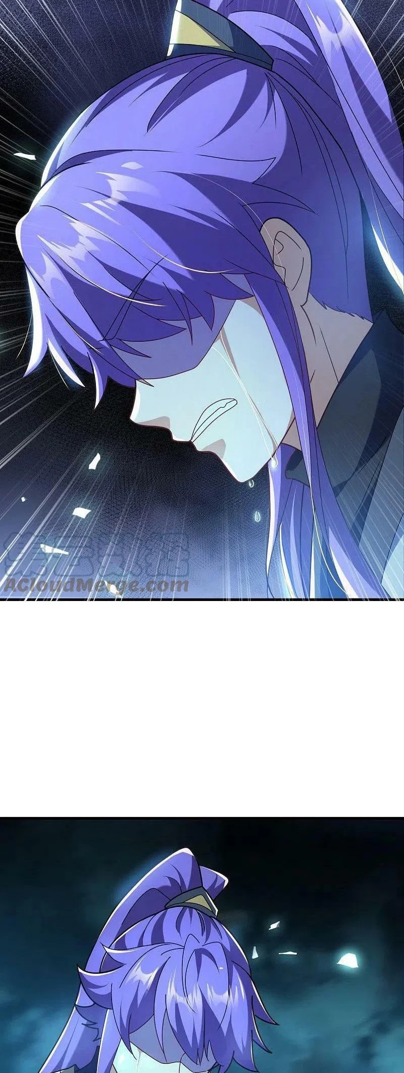 Peerless Battle Spirit Capitulo 458 página 30