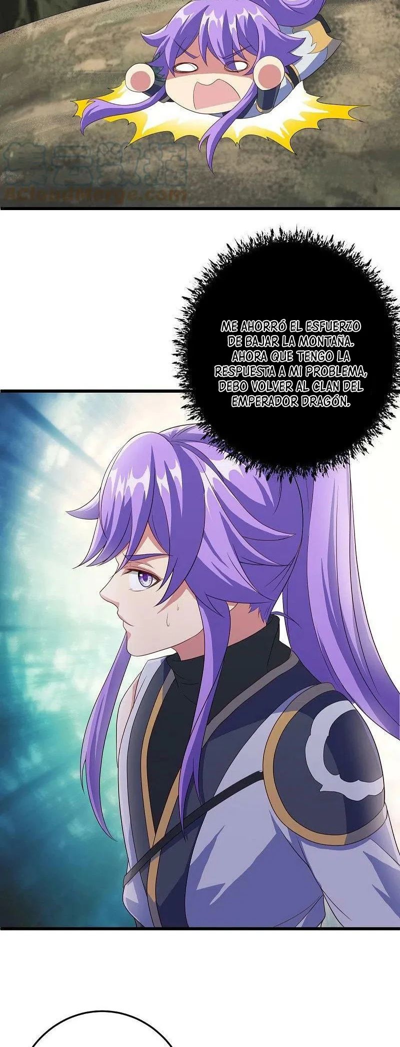 Peerless Battle Spirit Capitulo 461 página 25