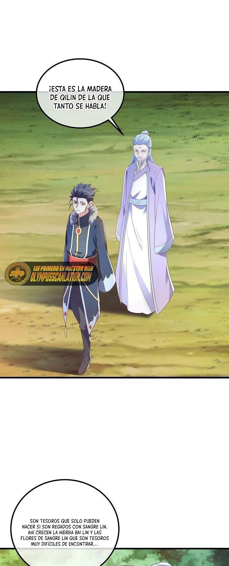Peerless Battle Spirit Capitulo 473 página 40