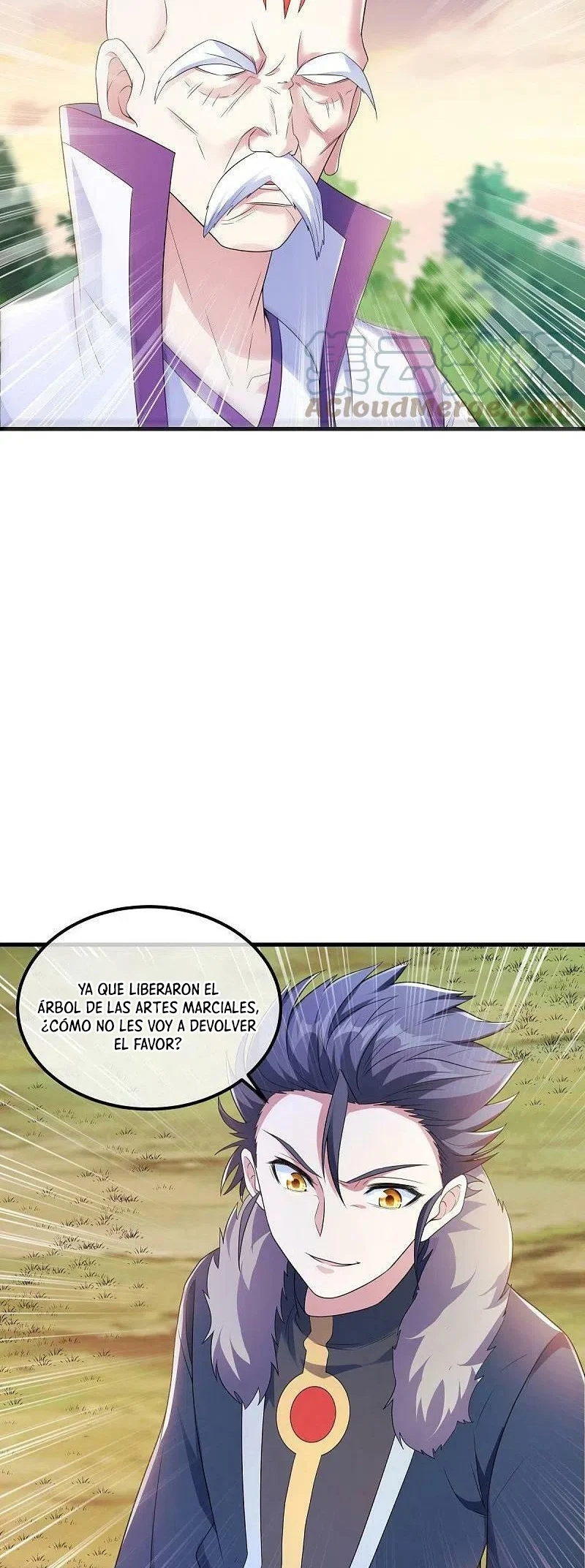 Peerless Battle Spirit Capitulo 474 página 5