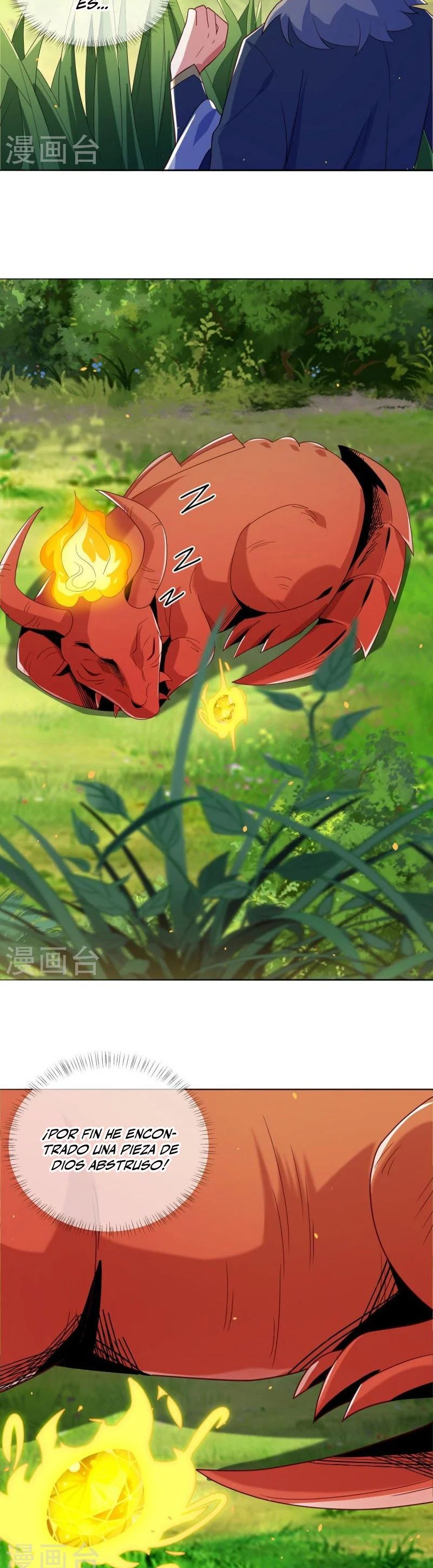 Peerless Battle Spirit Capitulo 500 página 13