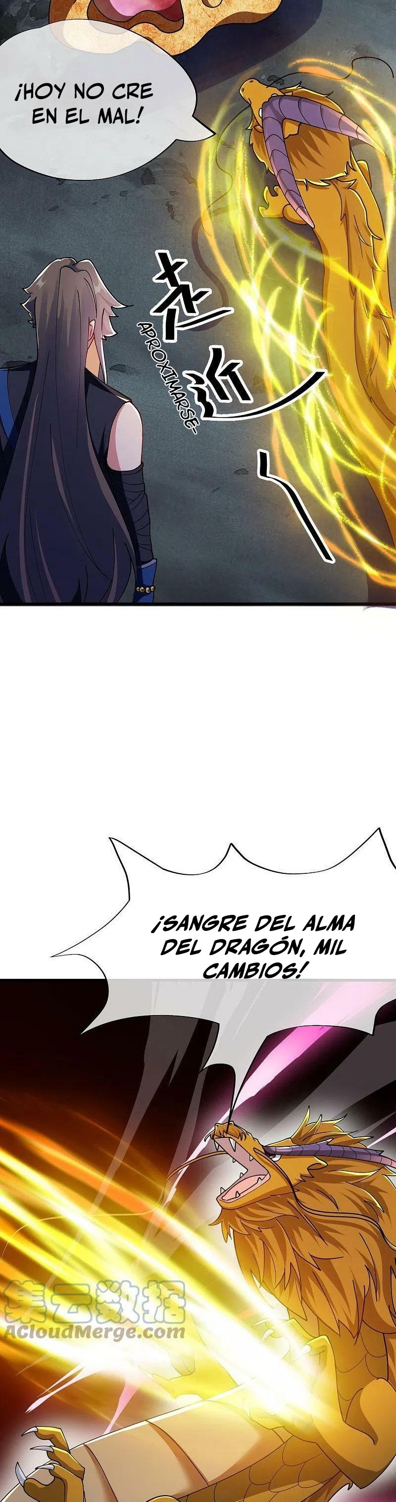 Peerless Battle Spirit Capitulo 526 página 28