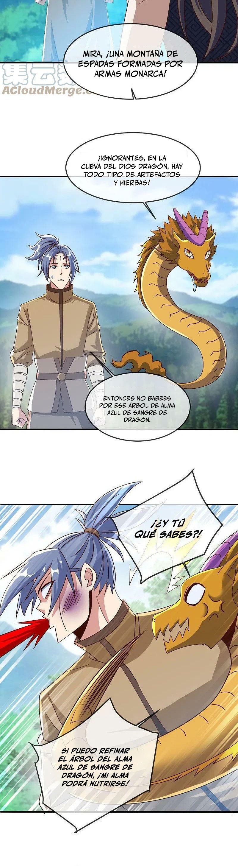 Peerless Battle Spirit Capitulo 527 página 22