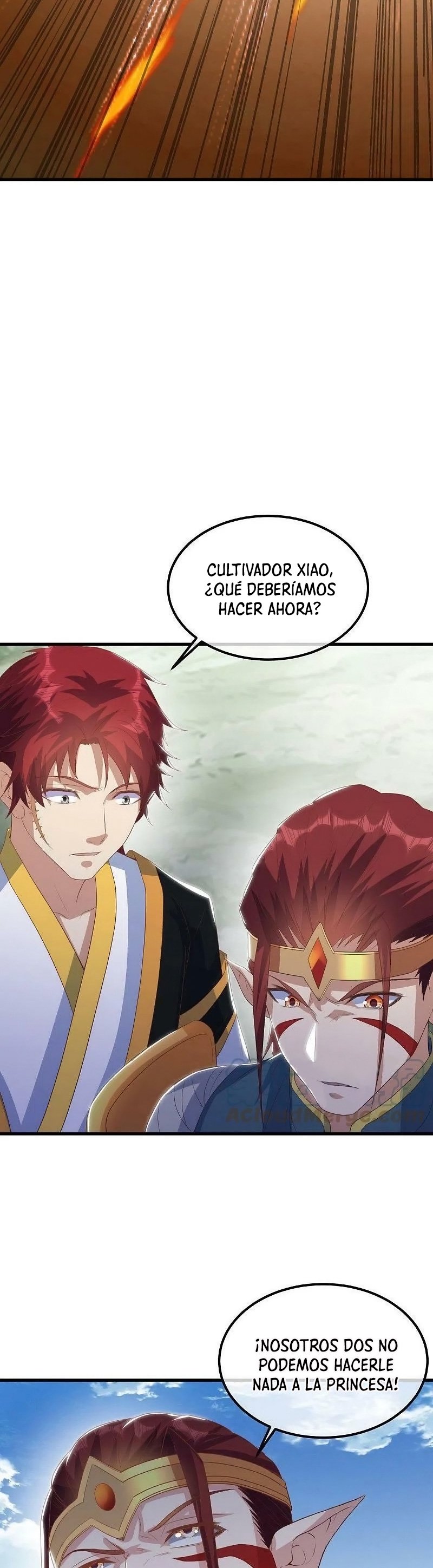 Peerless Battle Spirit Capitulo 529 página 14