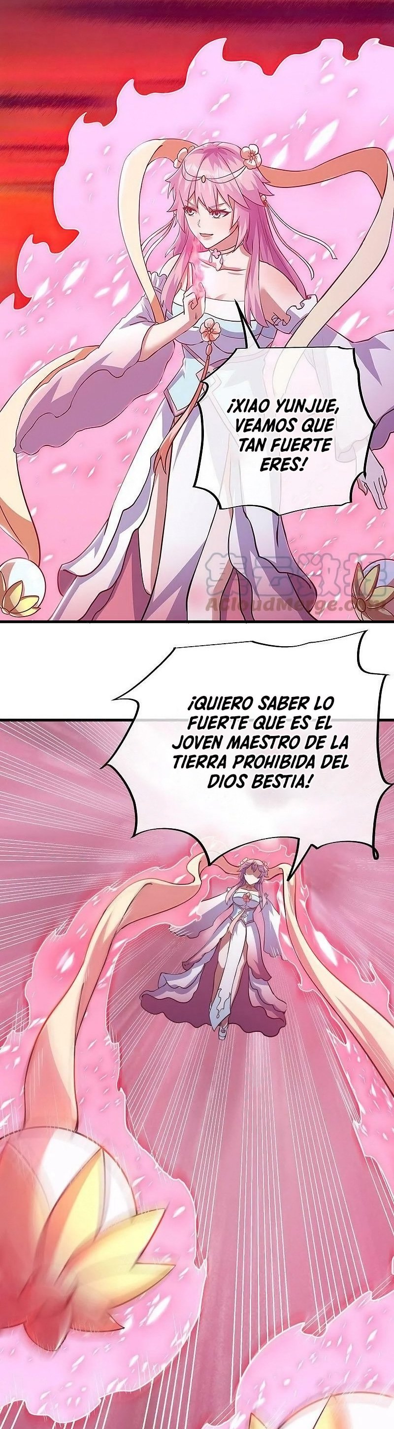 Peerless Battle Spirit Capitulo 529 página 24
