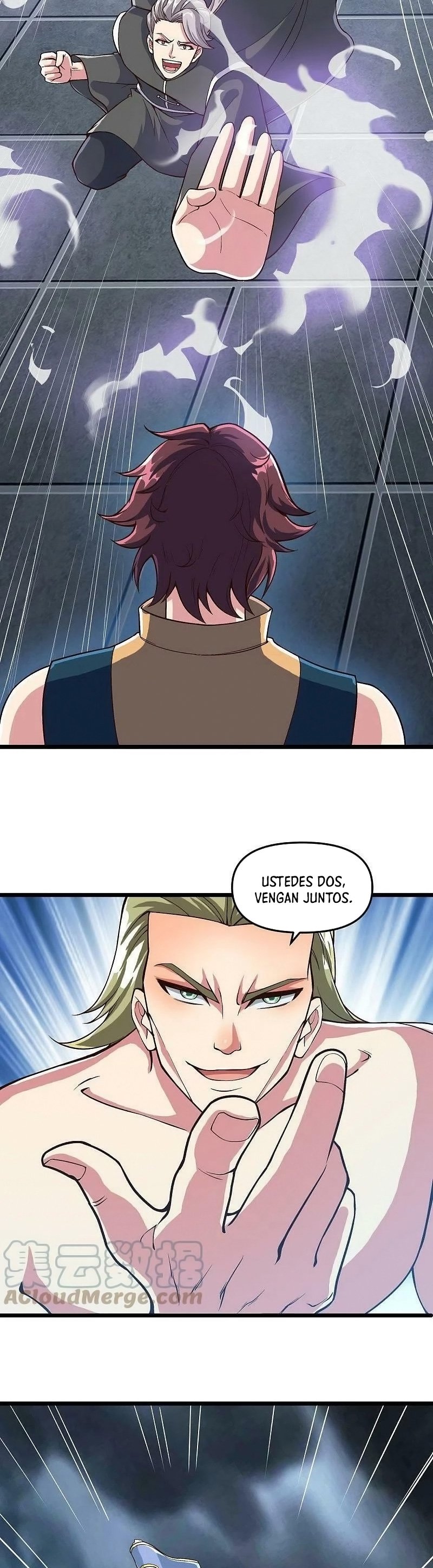 Peerless Battle Spirit Capitulo 531 página 17