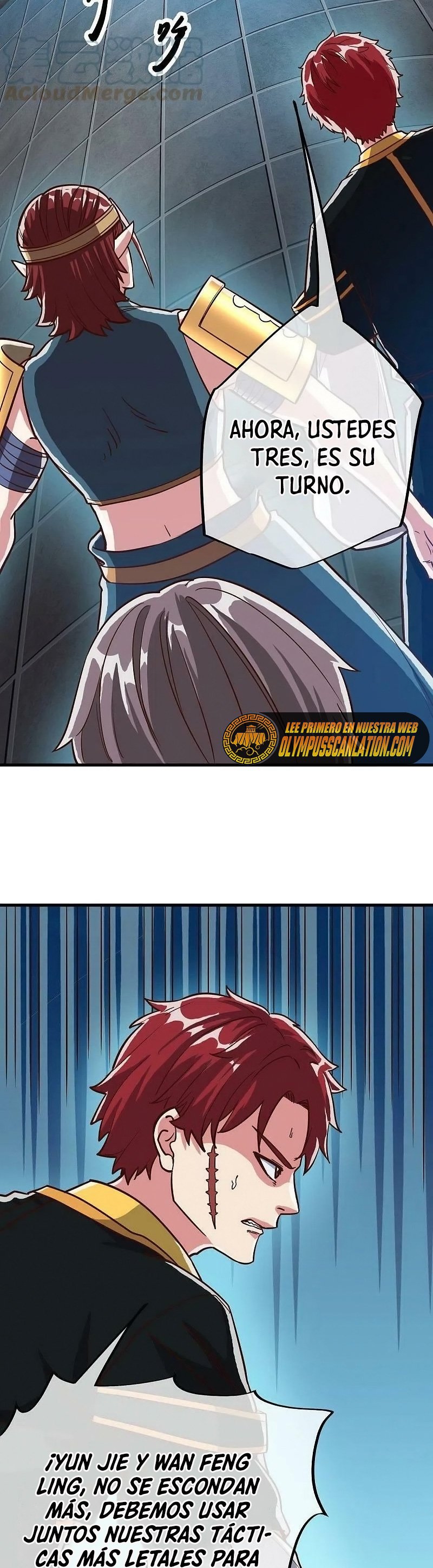 Peerless Battle Spirit Capitulo 531 página 5